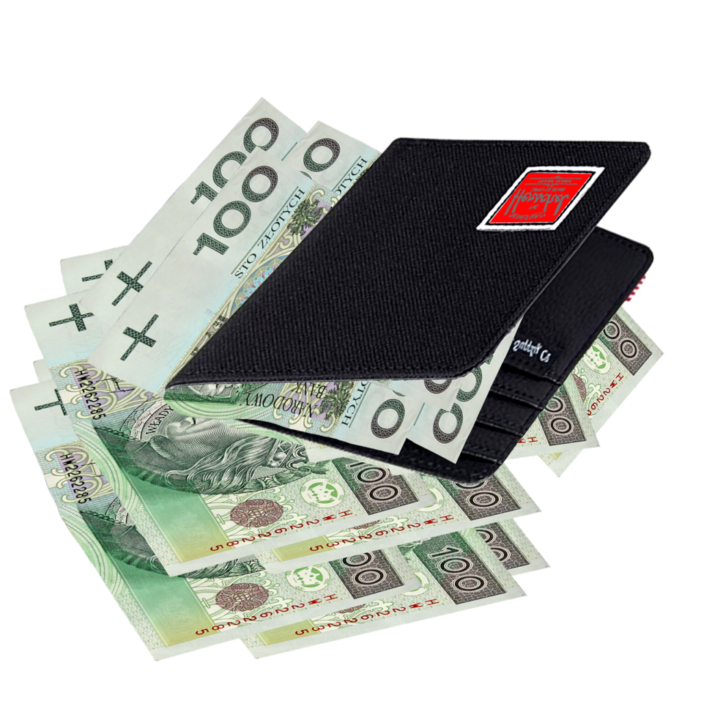 wallet, jeans, money, currency, pay, polish, savings, business, banknotes, one hundred zlotys, sum, means of payment, payment, golden, invest, investments, finances, transparent background, payments, without background, wallet, wallet, wallet, wallet, wallet, sum, transparent background, transparent background