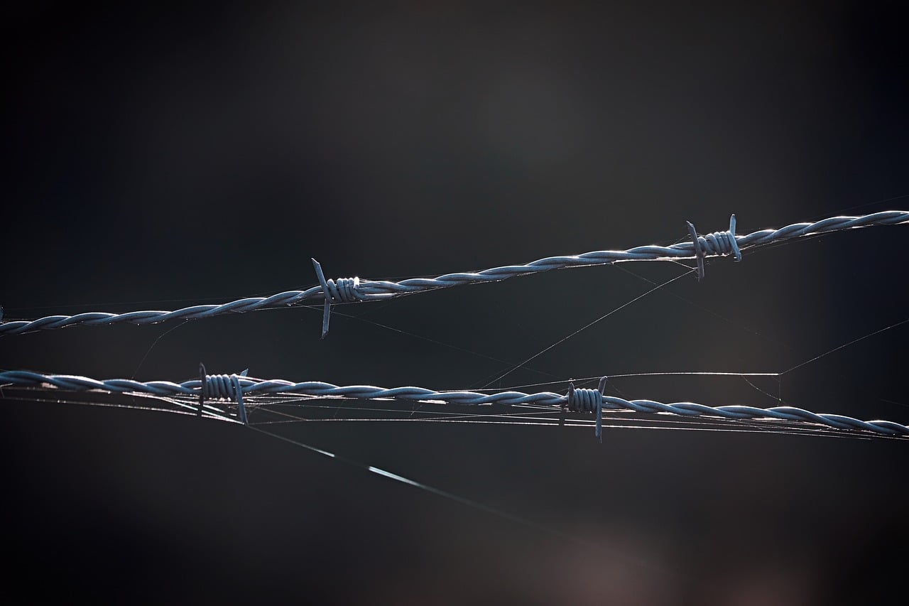 barbed wire, jail, fence, security, barrier, to back up, protection, metal, sharp, dangerous, escape, obstacle