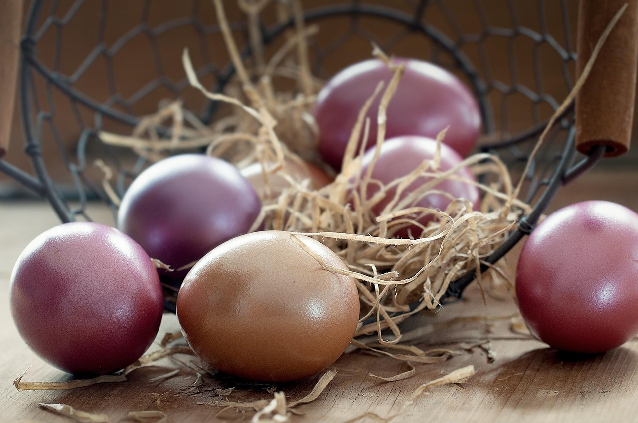 easter eggs, basket, color, colored, egg, easter, custom, spring, colorful, painting, customs, eastercollection, brown spring, brown painting, brown egg, brown eggs, nature, brown paint, brown color