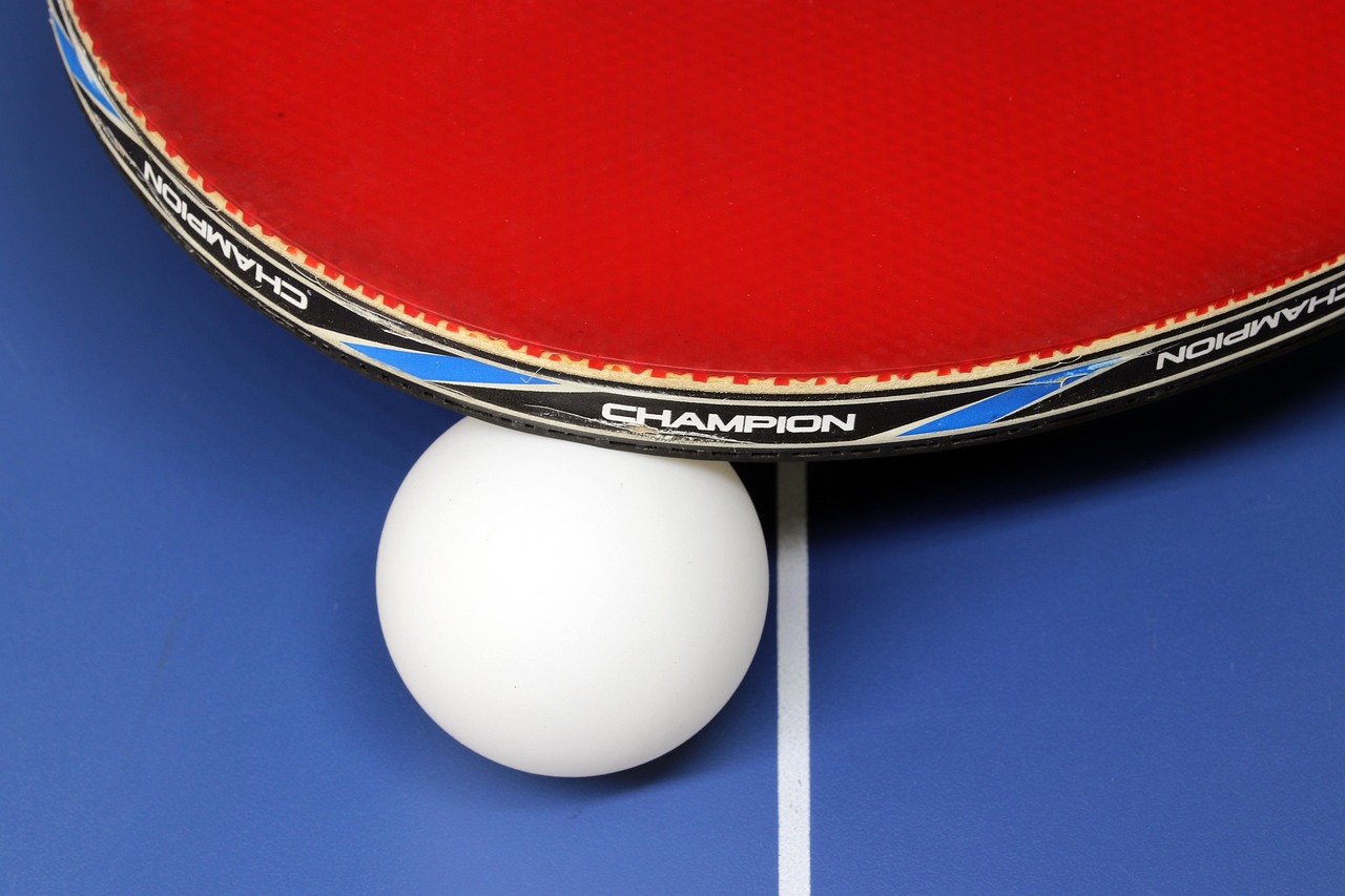 table tennis, sports, game, ball, play, table, racket, activities, hobby, ping-pong ball, exercise, leisure, ping-pong paddles, white room, olympic, break, ping pong, health, table tennis, table tennis, table tennis, table tennis, table tennis, ping pong