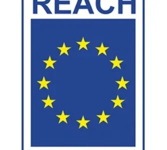 What Are the Key Steps to Achieve REACH Compliance Before the Deadline