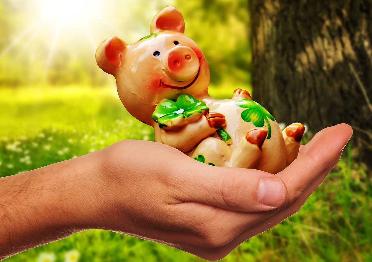 good luck, handful happiness, piggy, lucky pig, congratulations, figure, good luck, good luck, good luck, good luck, good luck, congratulations