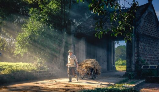 straw transport, village gateway, agricultural scene, countryside travel, traditional transportation