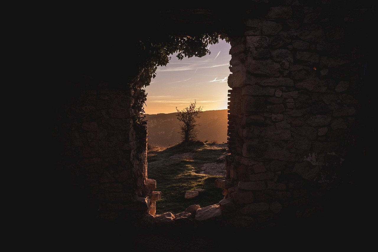 tree, path, sunrise, sunset, future, nature, landscape, sunset, landscape, landscape, landscape, landscape, landscape