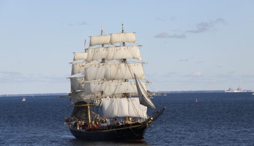 sailing ship, training ship, ship, master, sea, water, shipping, marine, sails, education, sailing, nature, tremaster