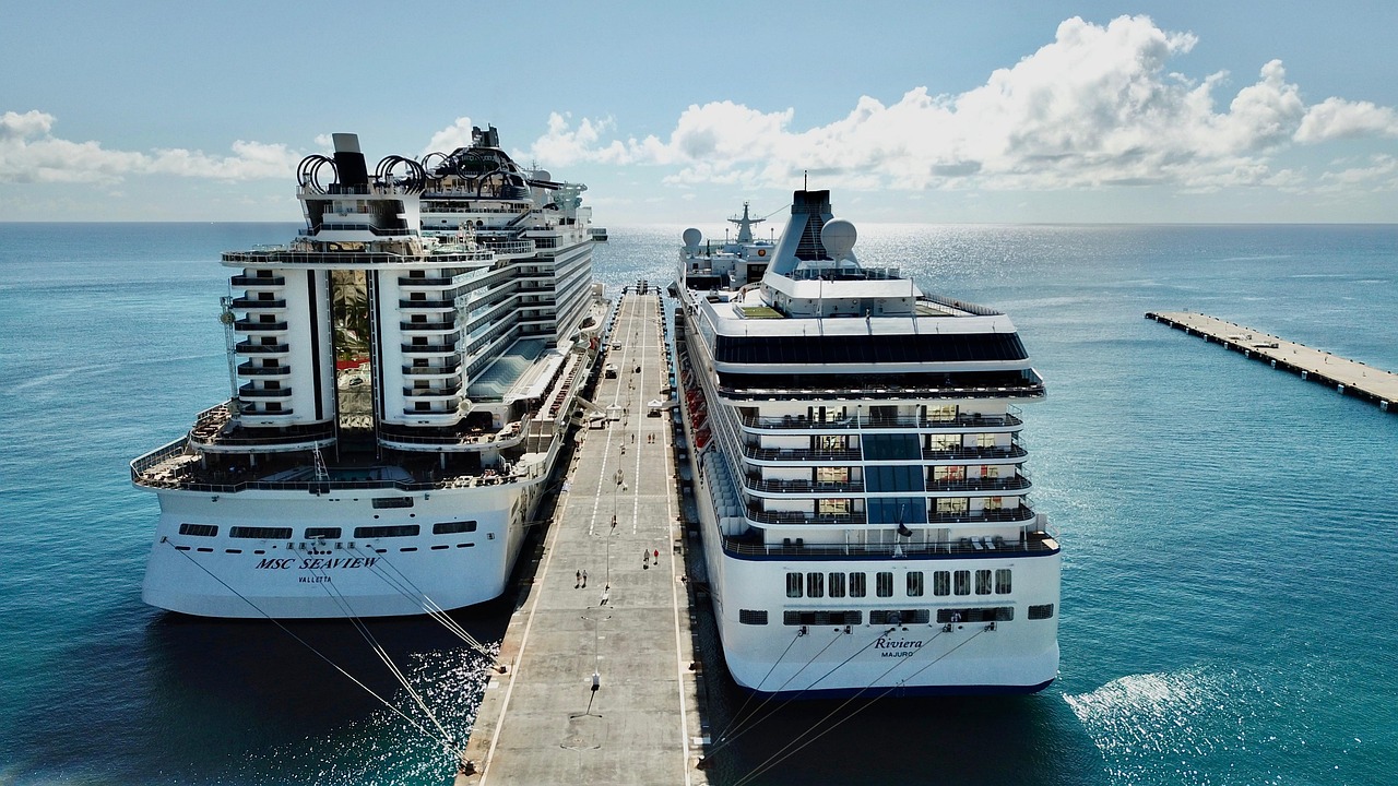 ship, cruise ship, cruise, boat, port, water, vacations, msc, sea view, caribbean, world travel, map of the world, globe, whimsical, captain, pirates, drone, bird's eye view, aerial view, drone photography, nature, travel, island